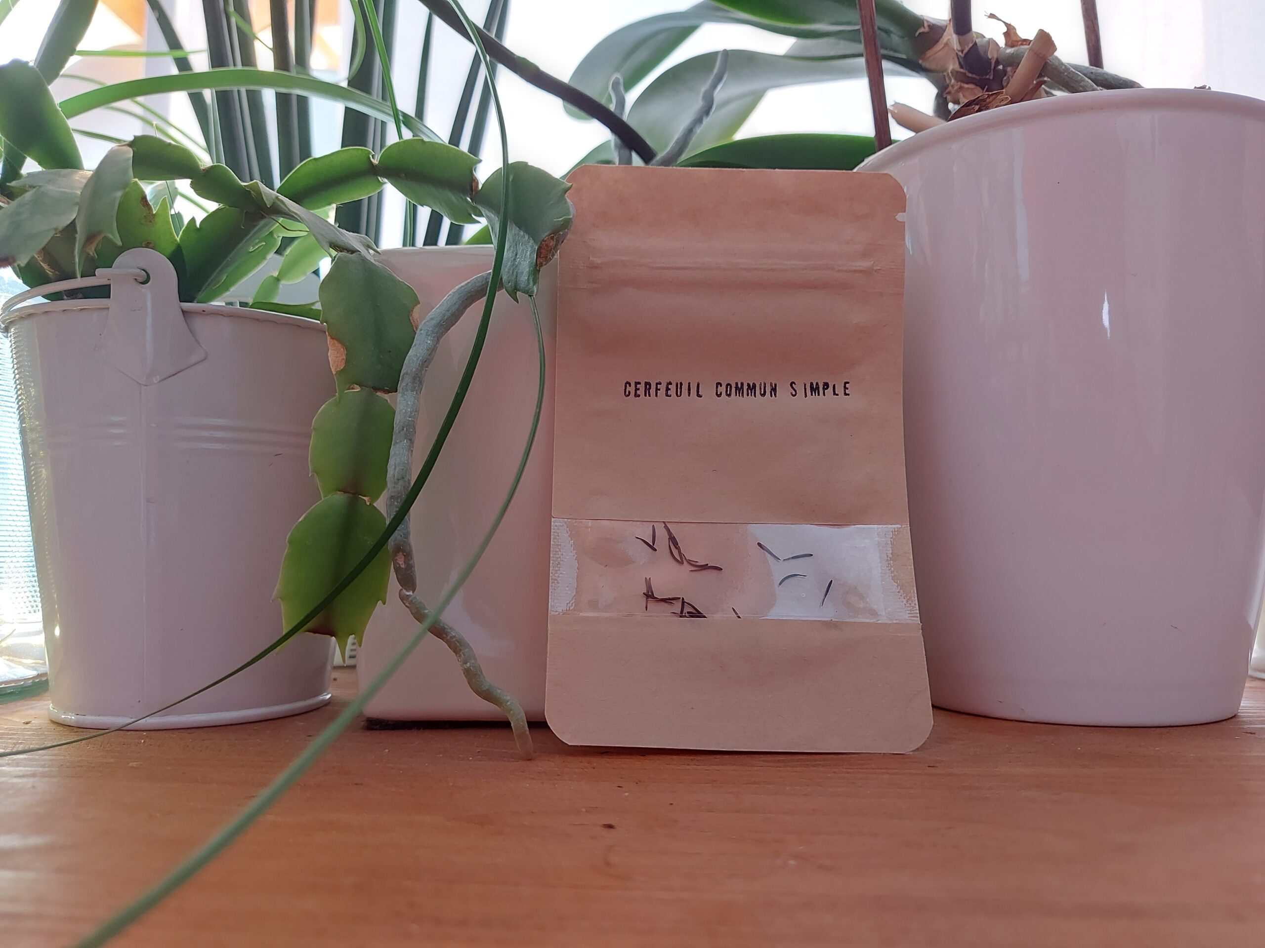 sachetcerfeuilcommunsimple