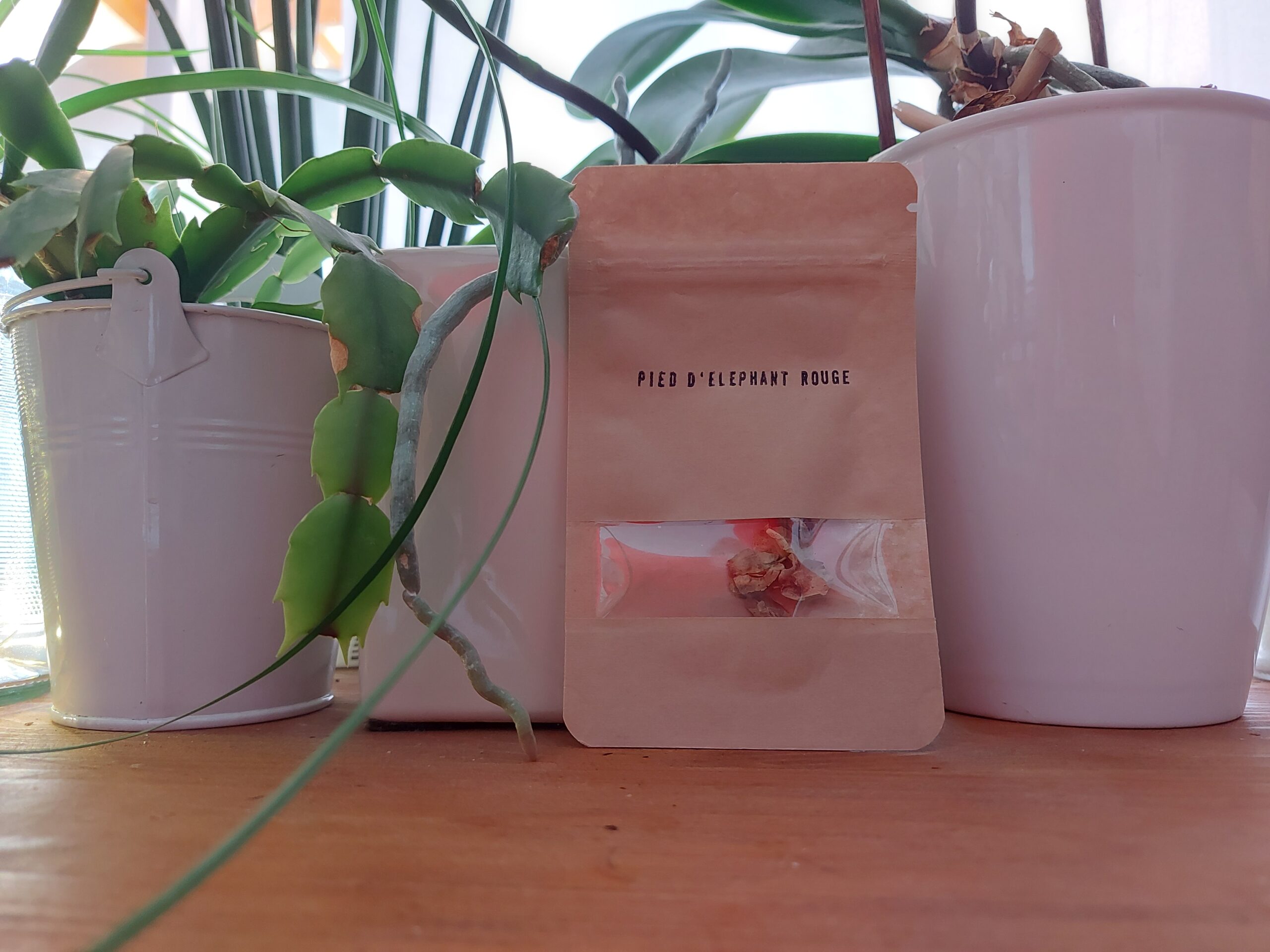 sachetpiedelephantrouge