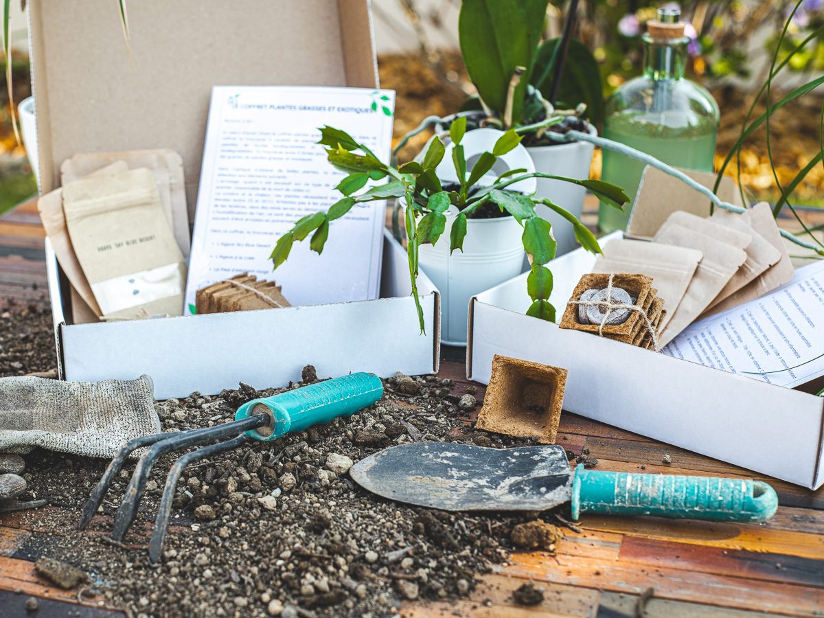 ambiance-pageaccueil-coffret ouvert-1