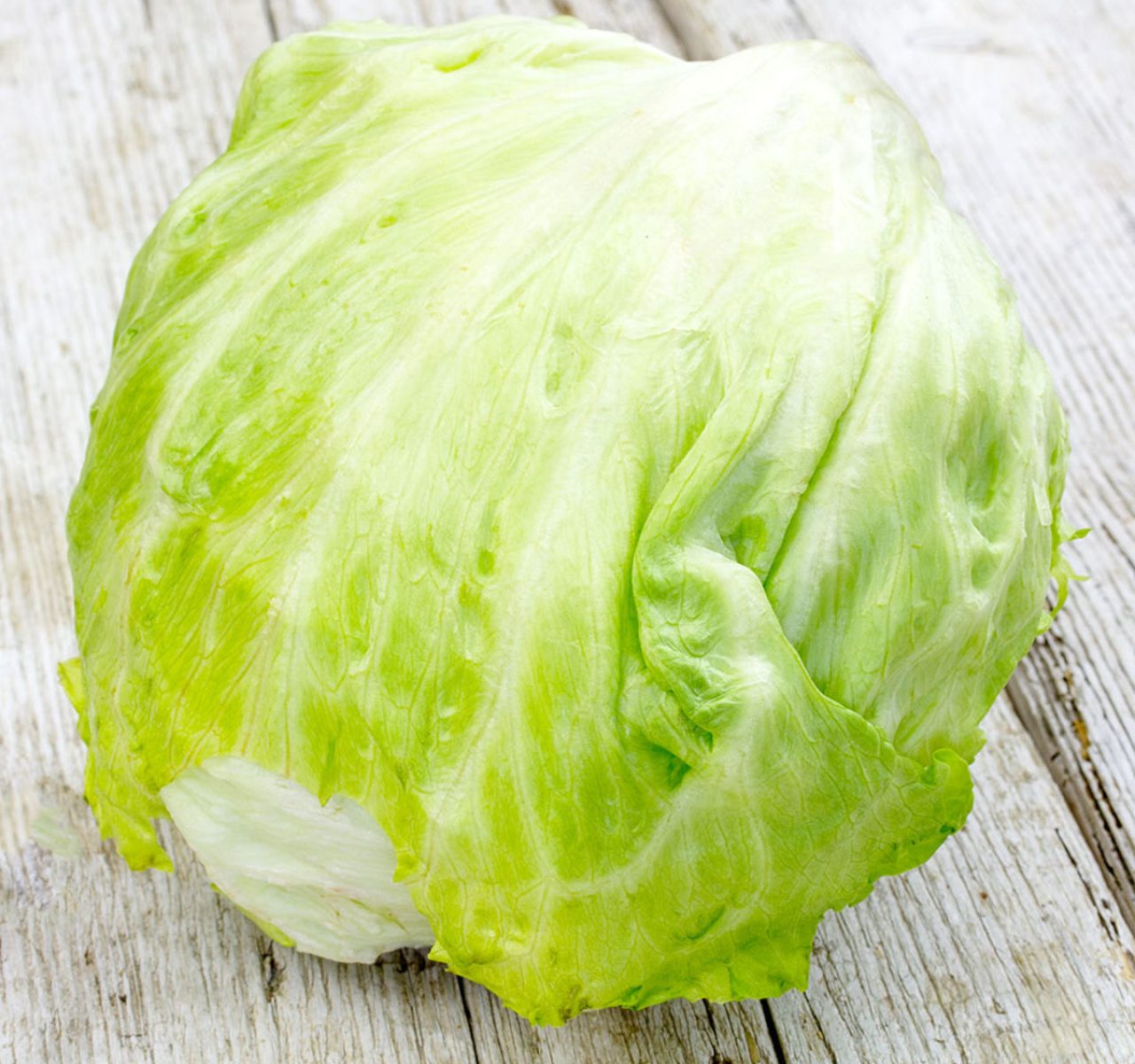 laituebataviaicebergreinedesglace1 laituebataviaicebergreinedesglace1