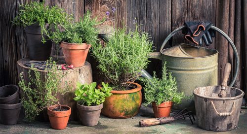 outils-jardinage