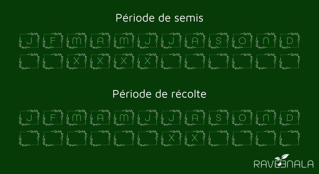 semisconcombrelegenereux semisconcombrelegenereux
